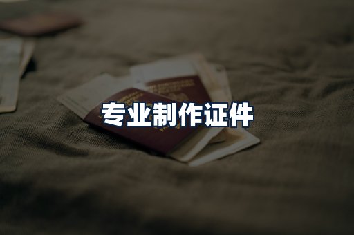 专业制作证件